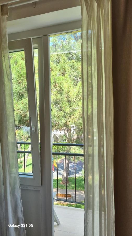 Apartment Rivarela Blu - Newly Renovated And Top Location Near Sea Novigrad  ภายนอก รูปภาพ