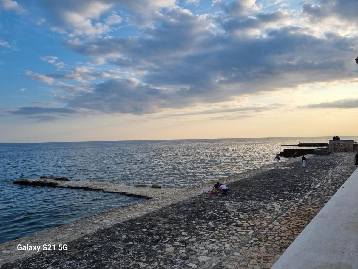 Apartment Rivarela Blu - Newly Renovated And Top Location Near Sea Novigrad  ภายนอก รูปภาพ