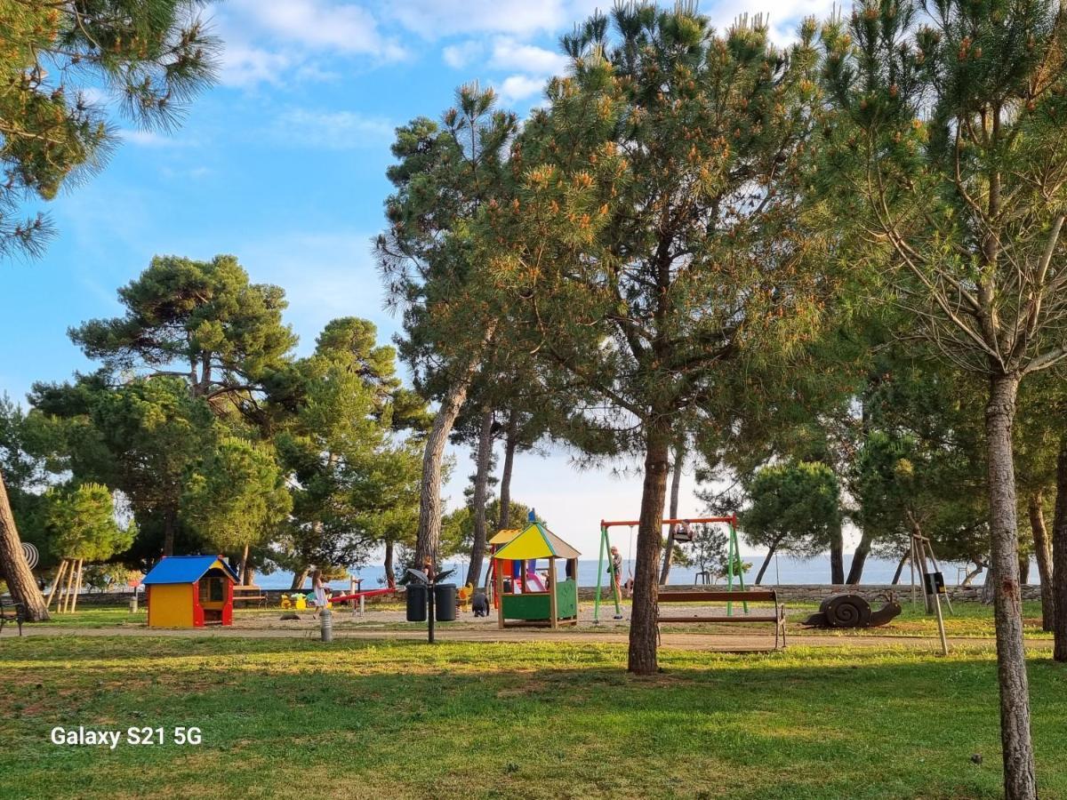 Apartment Rivarela Blu - Newly Renovated And Top Location Near Sea Novigrad  ภายนอก รูปภาพ